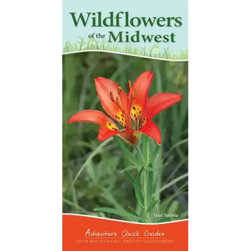 Wildflowers of the Midwest: Your Way to Easily Identify Wildflowers