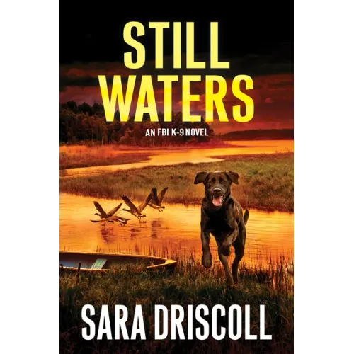 Still Waters: A Riveting Novel of Suspense