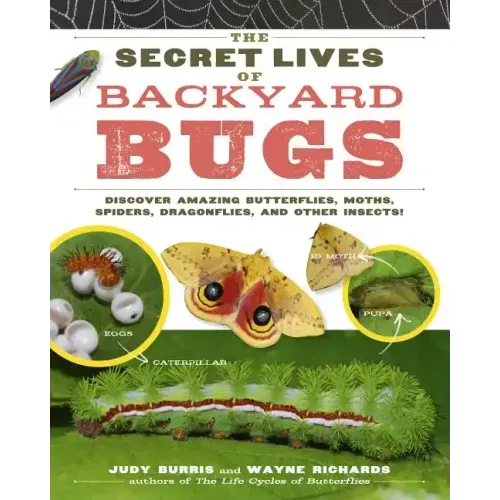 The Secret Lives of Backyard Bugs: Discover Amazing Butterflies, Moths, Spiders, Dragonflies, and Other Insects!