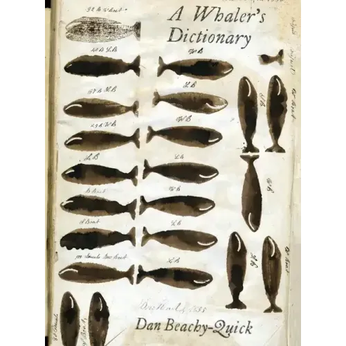 A Whaler's Dictionary