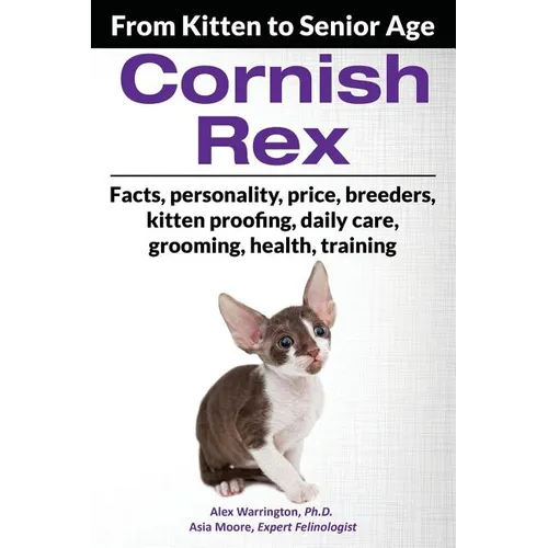 Cornish Rex: From Kitten to Senior Age