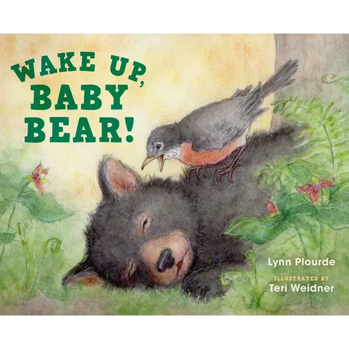 Wake Up, Baby Bear!