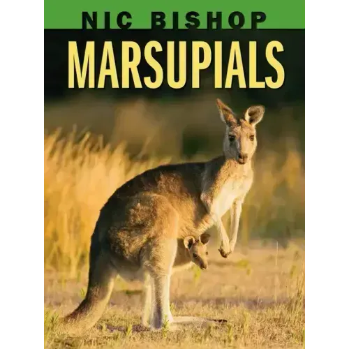 Nic Bishop: Marsupials