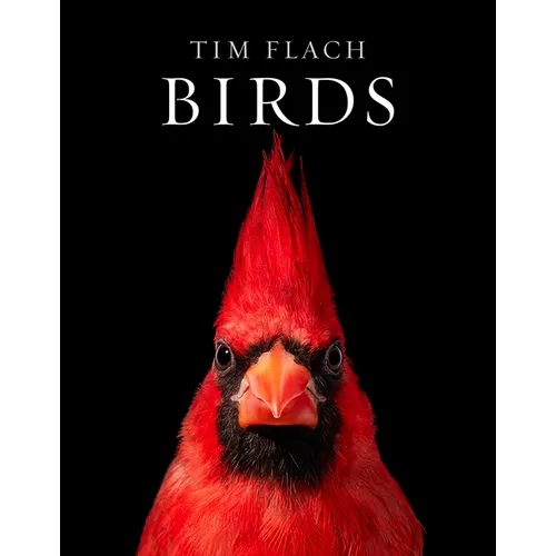 Birds: Photographs