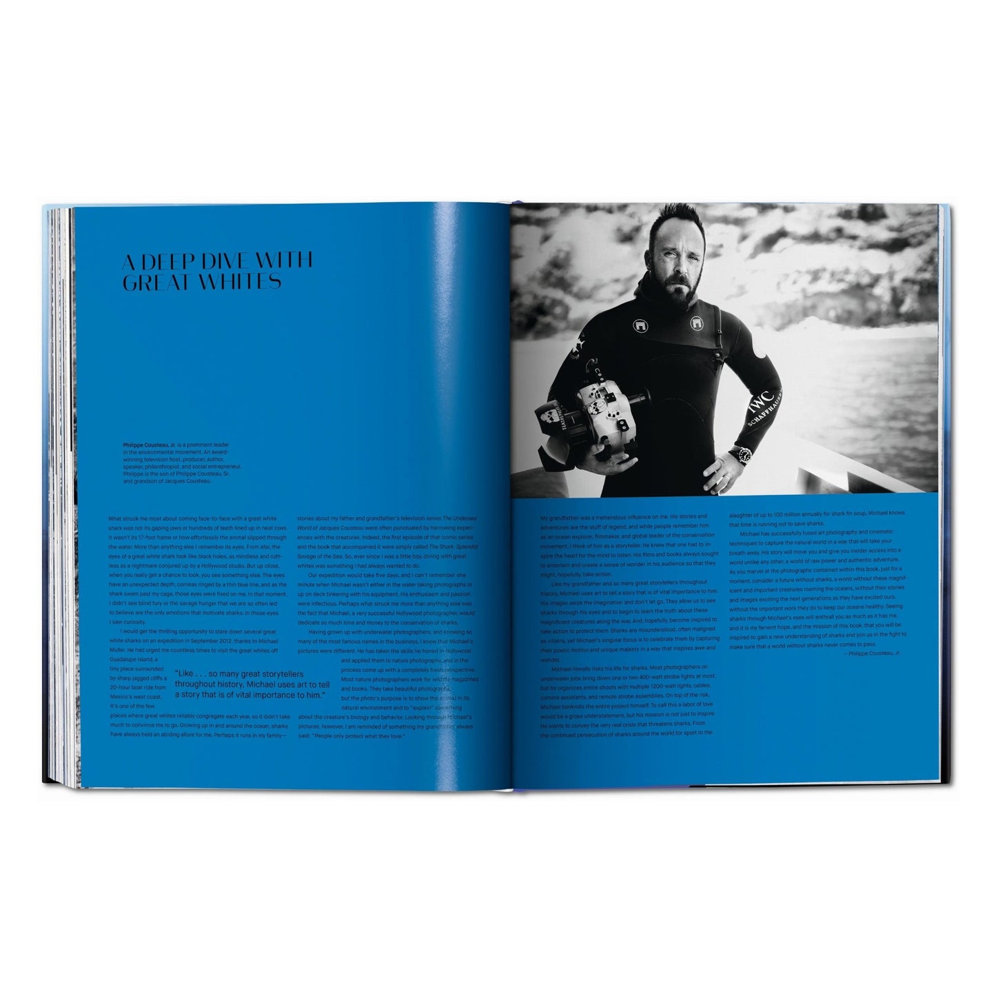 Michael Muller. Sharks (English) Book