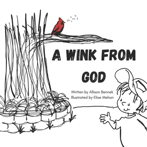 A Wink from God