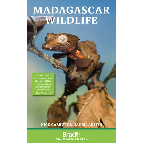 Madagascar Wildlife