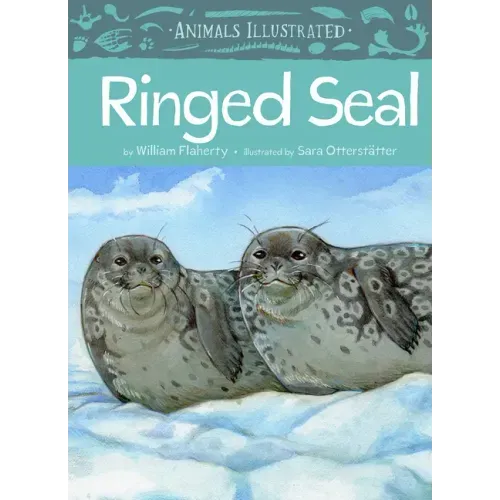 Animals Illustrated: Ringed Seal