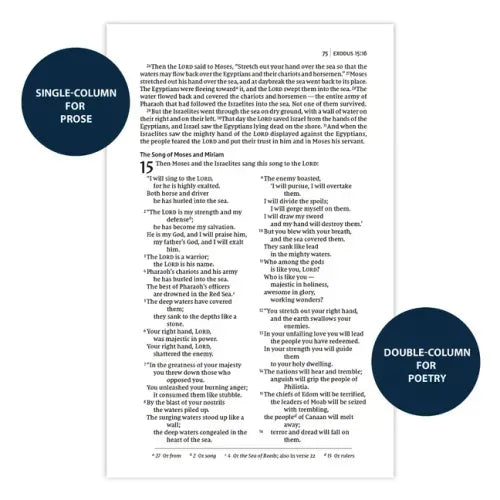 Niv, Thinline Bible, Passaggio Setting, Leathersoft, Brown, Red Letter, Comfort Print: Elegantly Uniting Single and Double Columns Into One Passaggio