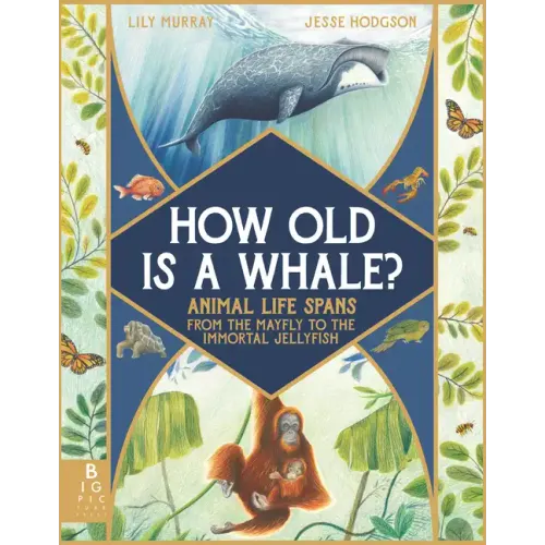 How Old Is a Whale?: Animal Life Spans from the Mayfly to the Immortal Jellyfish