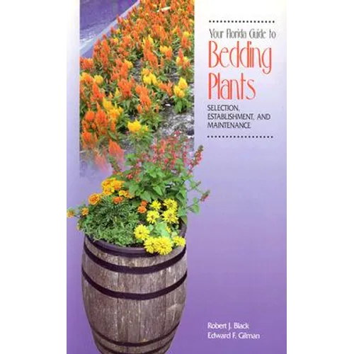 Your Florida Guide to Bedding Plants: Selection, Establishment, and Maintenance