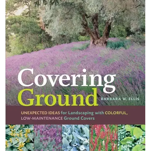 Covering Ground: Unexpected Ideas for Landscaping with Colorful, Low-Maintenance Ground Covers