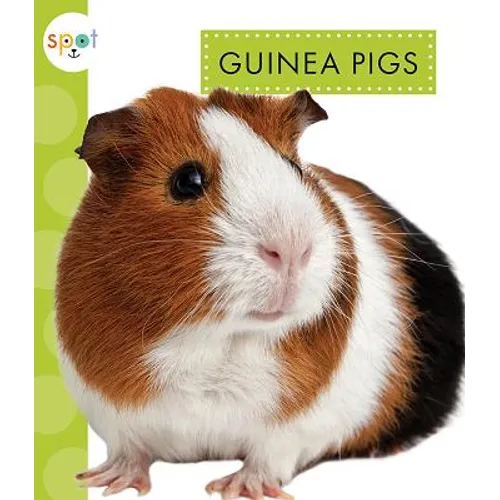 Guinea Pigs