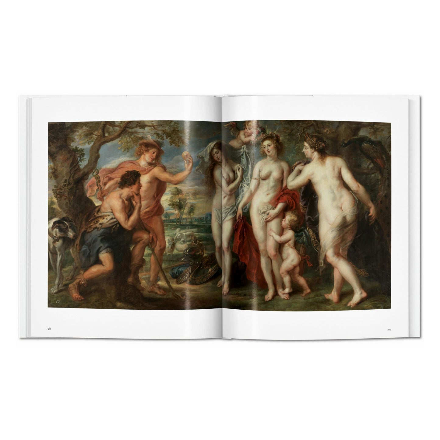 Rubens (English) Book