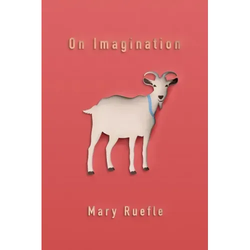 On Imagination