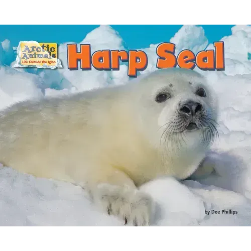 Harp Seal