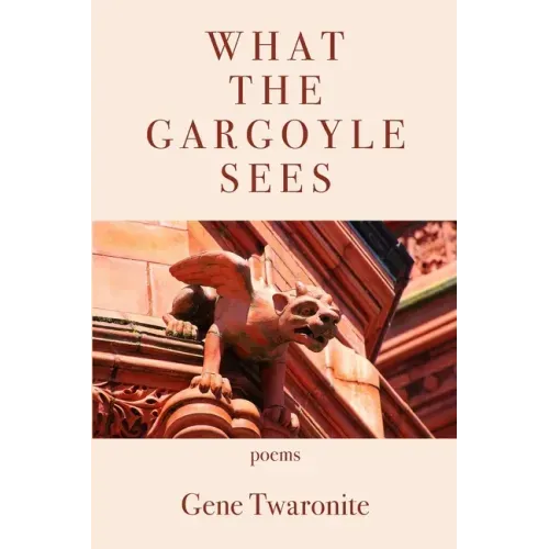 What the Gargoyle Sees
