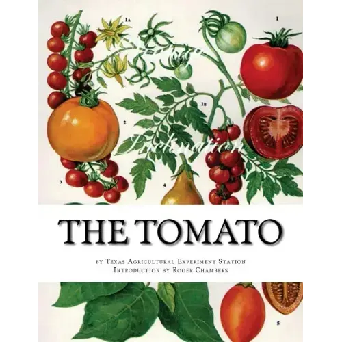 The Tomato