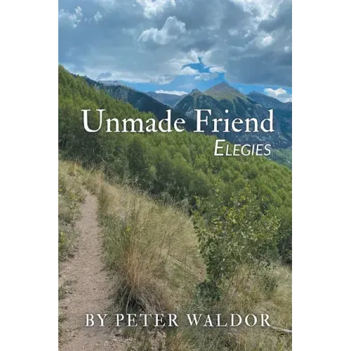 Unmade Friend - Elegies