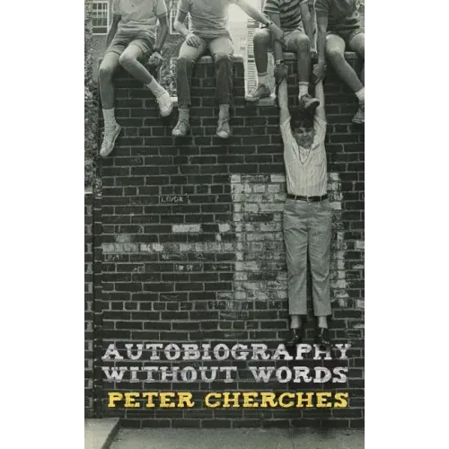 Autobiography Without Words