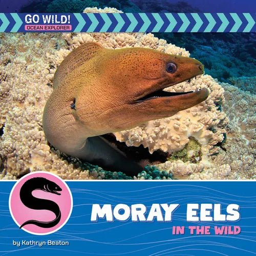 Moray Eels in the Wild - Library Binding