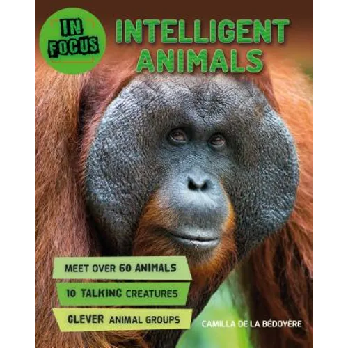 In Focus: Intelligent Animals