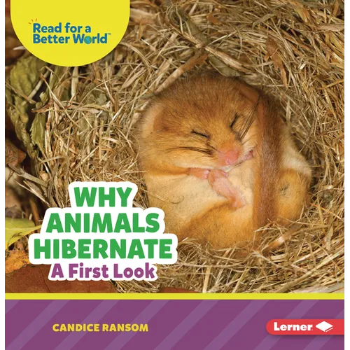 Why Animals Hibernate: A First Look