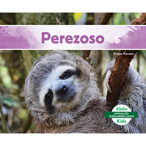 Perezoso (Sloth)