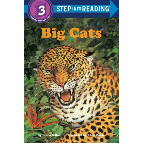 Big Cats