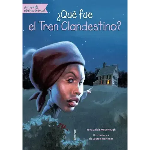 ¿Qué Fue El Tren Clandestino?