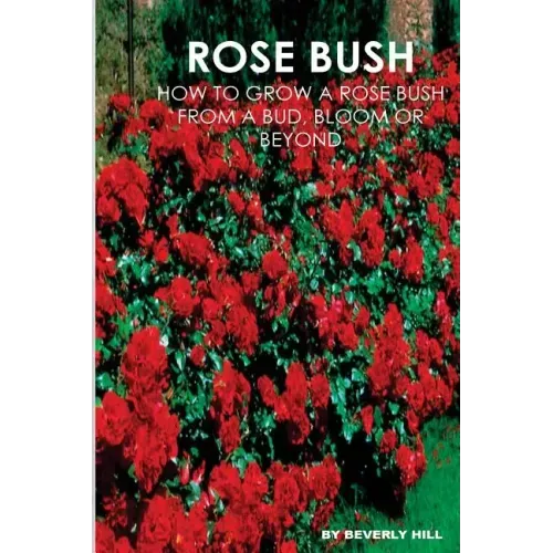 Rose Bush: Learn How To Grow A Rose Bush From A Bud, Bloom or Beyond