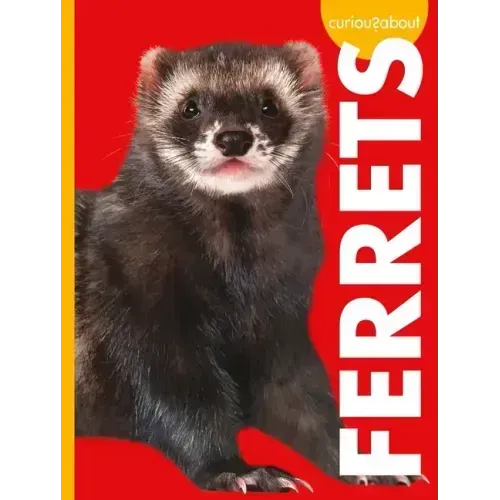 Curious about Ferrets