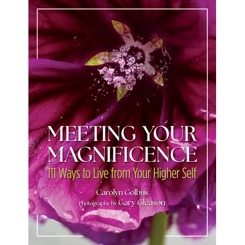 Meeting Your Magnificence: 111 Ways to Live from Your Higher Self