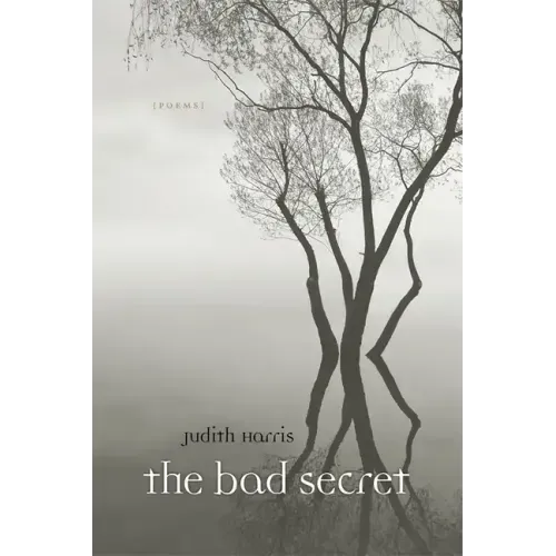 Bad Secret: Poems