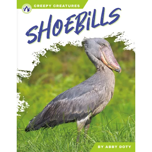 Shoebills