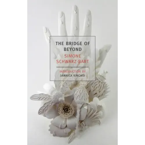 The Bridge of Beyond
