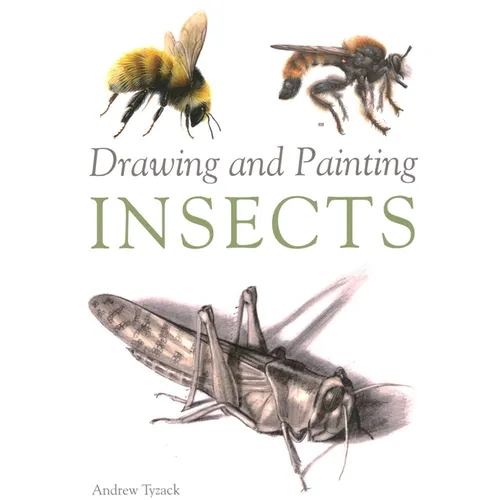 Drawing and Painting Insects