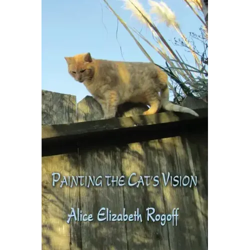 Painting the Cat's Vision
