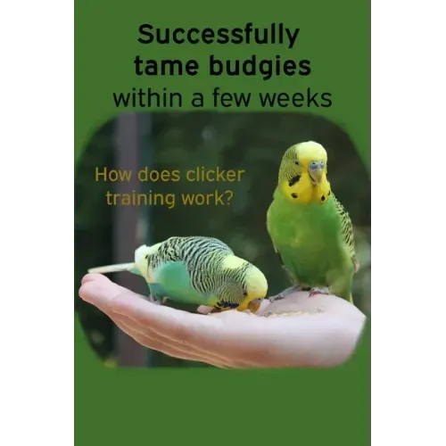 Successfully tame budgies within a few weeks: How does clicker training birds with budgerigars work? A step-by-step guide for budgies taming and parak