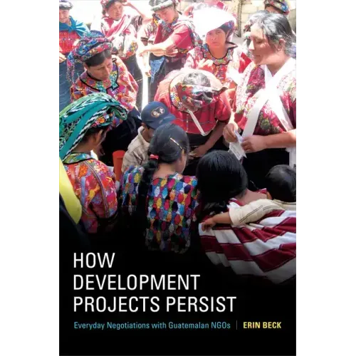 How Development Projects Persist: Everyday Negotiations with Guatemalan Ngos