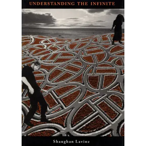 Understanding the Infinite