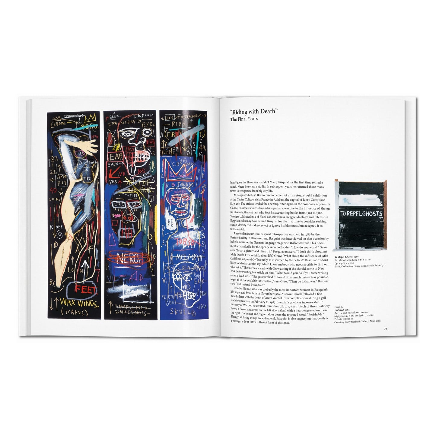 Basquiat (English) Book