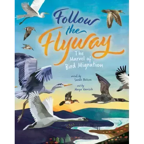 Follow the Flyway: The Marvel of Bird Migration