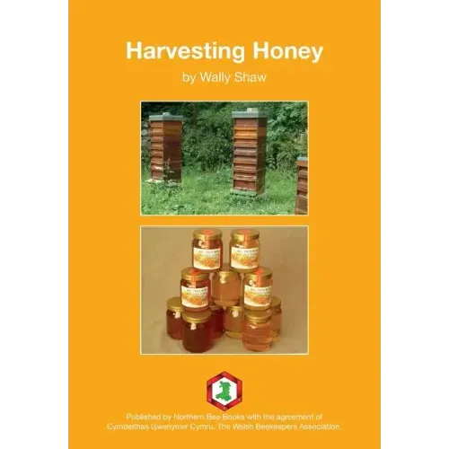 Harvesting Honey