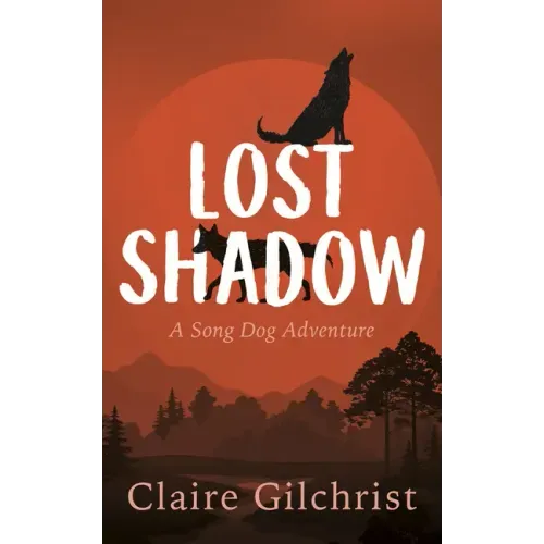 Lost Shadow