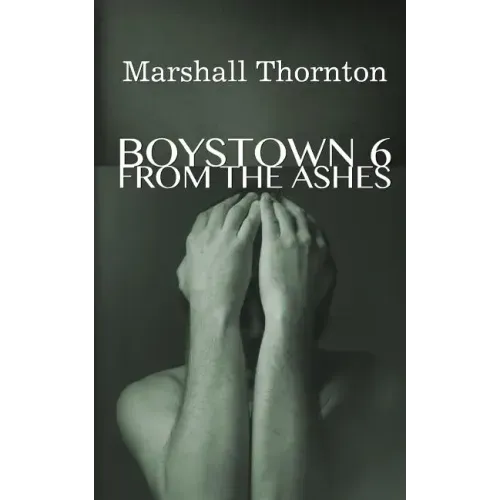 Boystown 6: From The Ashes
