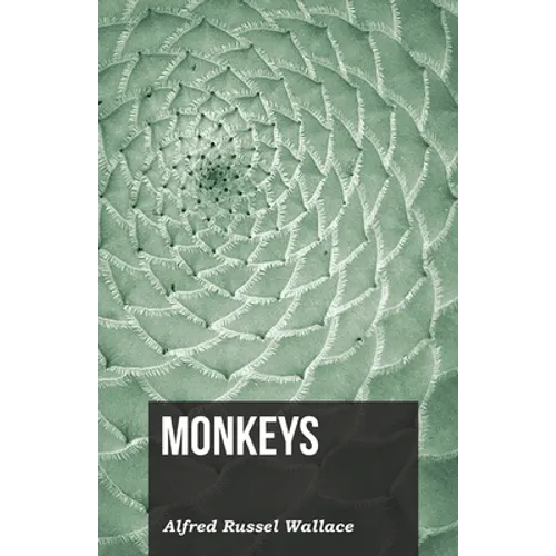 Monkeys