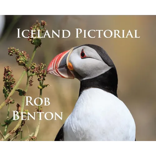 Iceland Pictorial
