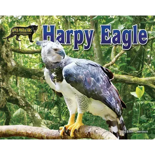 Harpy Eagle