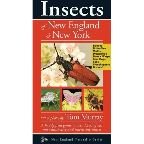 Insects of New England & New York